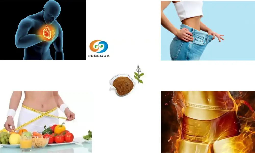 What is coleus forskohlii extract good for?